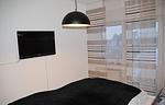 Metropol 21 - Top-Hundeurlaub