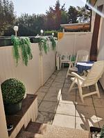 Sanddorn - Top-Hundeurlaub