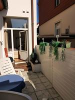 Sanddorn - Top-Hundeurlaub