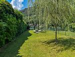 erholsamer Garten mit großer Hecke und Bäumen - Moretta - Top-Hundeurlaub