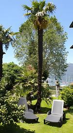 Garten - Appartment II Panorama - Top-Hundeurlaub