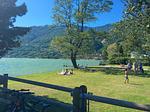 Sonniger Strand zum Baden - Bassotta - Top-Hundeurlaub