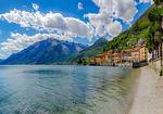 Strand - Olive - Top-Hundeurlaub