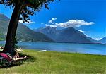 Strand - Olive - Top-Hundeurlaub
