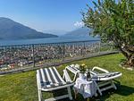 Garten - Olive - Top-Hundeurlaub