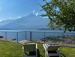 Garten - Olive - Top-Hundeurlaub