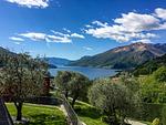 Seeblick - Olive - Top-Hundeurlaub