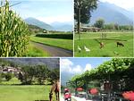 Landschaft - Ciclamino - Top-Hundeurlaub