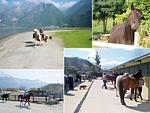 Sport / Aktivitäten - Ciclamino - Top-Hundeurlaub