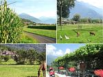 atemberaubende Landschaft, schöne Natur - Ciclamino - Top-Hundeurlaub