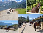Borgo Erbiola Reiterhof in der Umgebung - Rosa - Top-Hundeurlaub