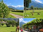 Borgo Erbiola Umgebung Natur, Wiesen und Felder - Rosa - Top-Hundeurlaub
