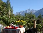 Terrasse - Tulipano - Top-Hundeurlaub