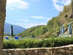 Garten - Giglio - Top-Hundeurlaub