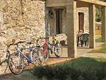 Leihfahrräder direkt am Haus vorhanden - Giglio - Top-Hundeurlaub
