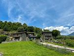großes gepflegtes Grundstück - Giglio - Top-Hundeurlaub