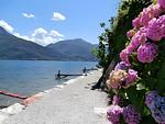Nachbarschaft - Ferienwohnung am See - Top-Hundeurlaub