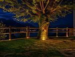 Meerblick - Rustico Antico - Top-Hundeurlaub