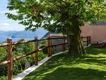 Garten - Rustico Antico - Top-Hundeurlaub