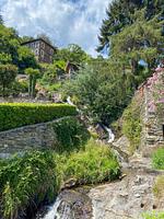 Bella Cecilia - Top-Hundeurlaub