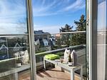Penthouse 61 - Top-Hundeurlaub