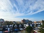 Penthouse 61 - Top-Hundeurlaub