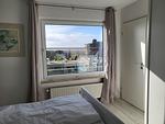 Penthouse 61 - Top-Hundeurlaub