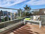 Penthouse 61 - Top-Hundeurlaub
