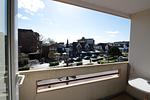 Villa Anna 41 - Top-Hundeurlaub