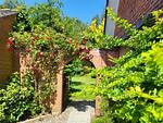 Fassade / Eingang - Windjammer 1 - Top-Hundeurlaub