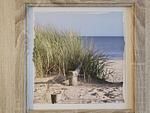 Wohnung Leonie - Top-Hundeurlaub