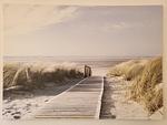 Ferienwohnung Sandpeter - Top-Hundeurlaub