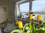 Ferienwohnung Strandkoje - Top-Hundeurlaub
