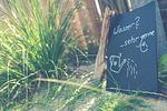 Ferienhaus RH Strandkobold - Top-Hundeurlaub