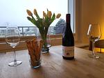 Ferienwohnung 24 - Top-Hundeurlaub