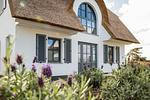 Hauptansicht - Ferienhaus Schilfrohrsänger 45 - Top-Hundeurlaub
