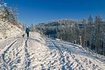 Sport / Aktivitäten - - Tiny House Nature 8 Dog Friendly - Top-Hundeurlaub