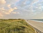 Strand - Meerblick II - Top-Hundeurlaub