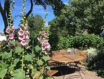 Terrasse - Ferienwohnung 3 - Top-Hundeurlaub