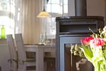 Kamin-/Ofen - Ferienwohnung 4 - Top-Hundeurlaub