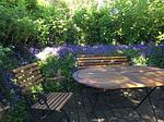 Terrasse - Ferienwohnung 4 - Top-Hundeurlaub