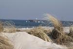 Strand - Ferienwohnung 4 - Top-Hundeurlaub