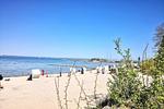 Strand - Haffhuus (51) - Top-Hundeurlaub