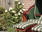 Terrasse - Ferienwohnung Sailor - Top-Hundeurlaub