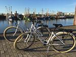 Strand - Ferienwohnung Sailor - Top-Hundeurlaub