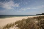 Strand - Haus: strandnah, Terrasse - Top-Hundeurlaub
