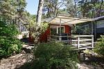 Hauptansicht - Haus: strandnah, Terrasse - Top-Hundeurlaub