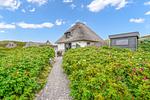 Strandhaus - Top-Hundeurlaub
