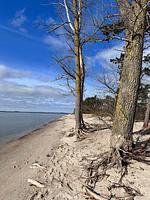 Reetdachhaus Holunder 2 - Top-Hundeurlaub
