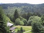 Hotel am Waldrand - Top-Hundeurlaub